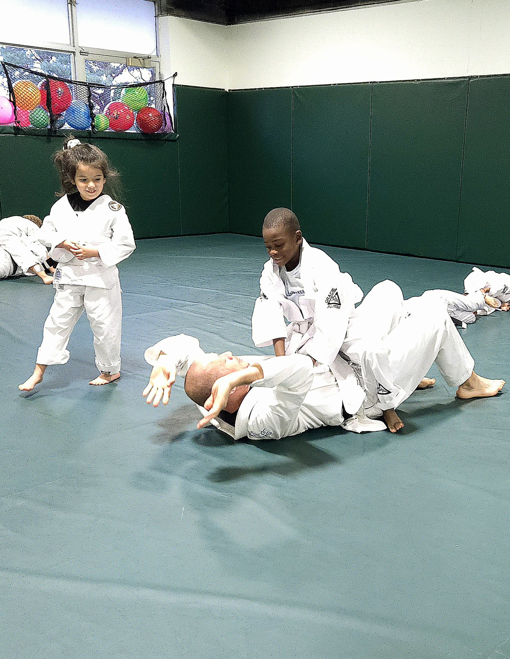 Gracie Jiu-Jitsu Indianapolis Programs image